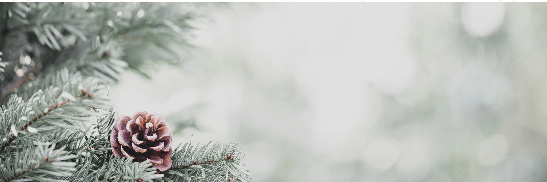 Order your holiday greenery NOW!